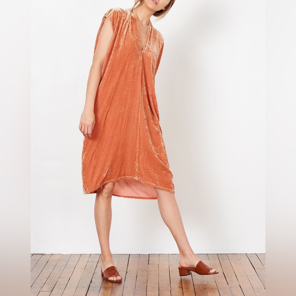 NWT Miranda Bennett Everyday Dress in Anais Velvet